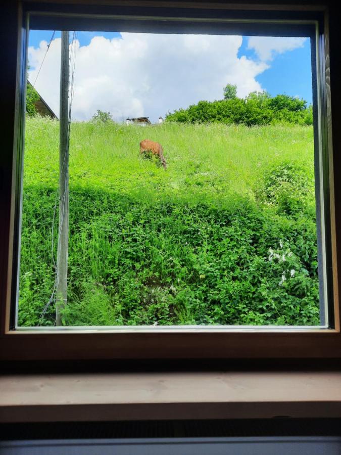 Ama Dolomiti Aparthotel Vigo di Cadore Exteriör bild
